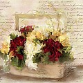 Love Letters