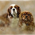 Willie and Maggie