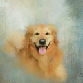 The Golden